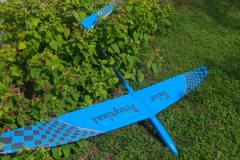 Falco Peregrinus V 2.0m image 1