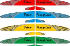 Falco Peregrinus V 2.0m image 3